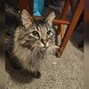 casey_scott
